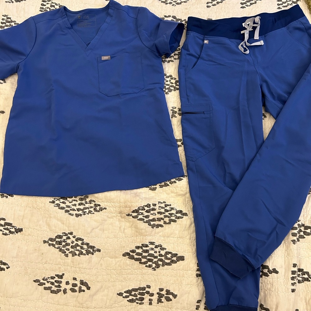 Blue figs set